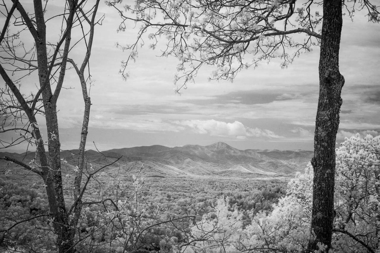 Elk Mountain Sanctuary With Views 6 Mi To Asheville Bagian luar foto